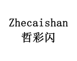 哲彩闪商标原图 第09类科学仪器