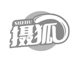 摄狐商标原图 第09类科学仪器