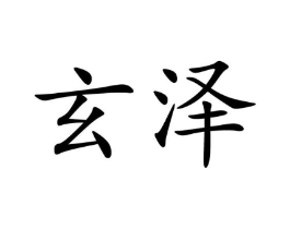 玄泽商标原图 第09类科学仪器