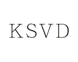 KSVD商标原图 第09类科学仪器