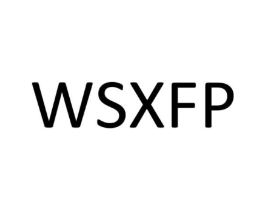 WSXFP商标原图 第09类科学仪器