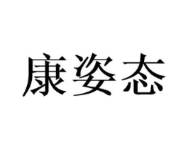 康姿态商标原图 第09类科学仪器