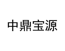 中鼎宝源商标原图 第09类科学仪器
