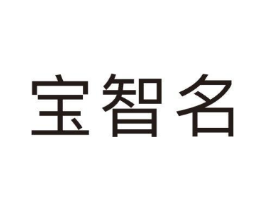 宝智名商标原图 第09类科学仪器