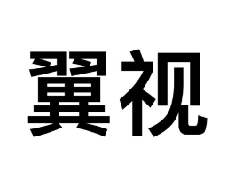 翼视商标原图 第09类科学仪器
