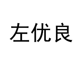 左优良商标原图 第09类科学仪器