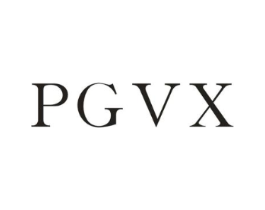 PGVX商标原图 第09类科学仪器