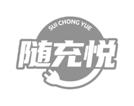 随充悦商标原图 第09类科学仪器