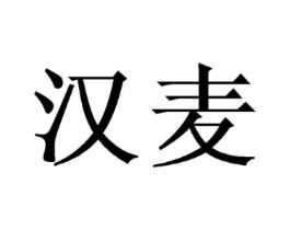 汉麦商标原图 第09类科学仪器