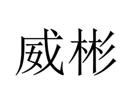 威彬商标原图 第09类科学仪器