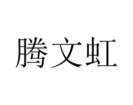腾文虹商标原图 第09类科学仪器