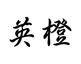 英橙商标原图 第09类科学仪器
