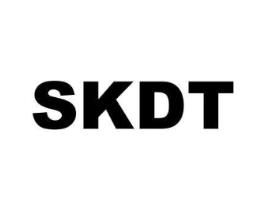 SKDT商标原图 第09类科学仪器