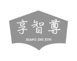 享智尊商标原图 第09类科学仪器