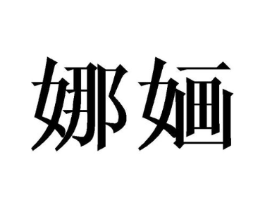 娜婳商标原图 第09类科学仪器
