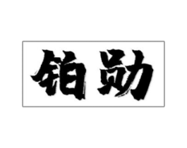 铂勋商标原图 第09类科学仪器