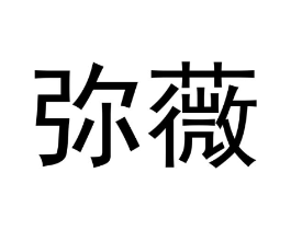 弥薇商标原图 第09类科学仪器