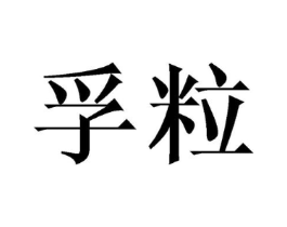 孚粒商标原图 第09类科学仪器