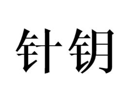 针钥商标原图 第09类科学仪器
