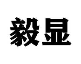 毅显商标原图 第09类科学仪器