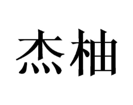 杰柚商标原图 第09类科学仪器