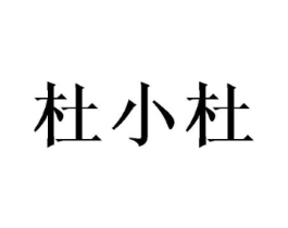 杜小杜商标原图 第09类科学仪器