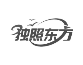 独照东方商标原图 第09类科学仪器