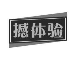 撼体验商标原图 第09类科学仪器