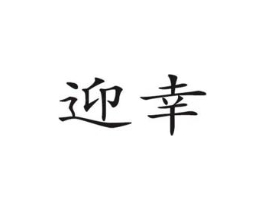 迎幸商标原图 第09类科学仪器