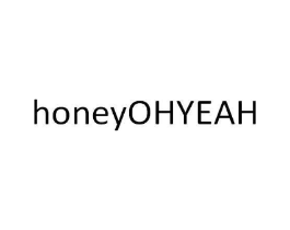 HONEYOHYEAH商标原图 第09类科学仪器