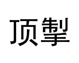 顶掣商标原图 第09类科学仪器