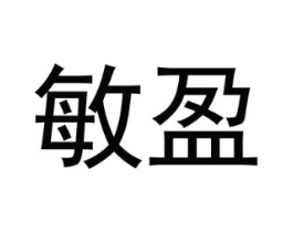 敏盈商标原图 第09类科学仪器