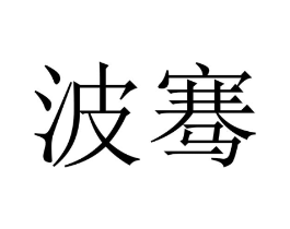 波骞商标原图 第09类科学仪器