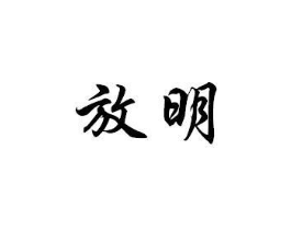 放明商标原图 第09类科学仪器
