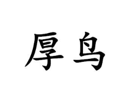 商标原图