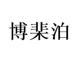 博棐泊商标原图 第09类科学仪器