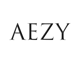 AEZY商标原图 第09类科学仪器