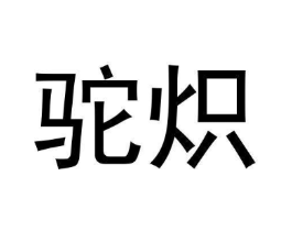 驼炽商标原图 第09类科学仪器