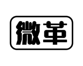微革商标原图 第09类科学仪器