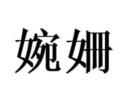 婉姍商标原图 第09类科学仪器