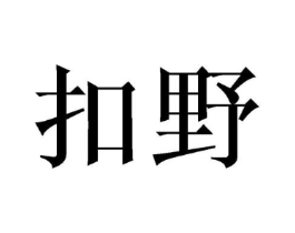 扣野商标原图 第09类科学仪器