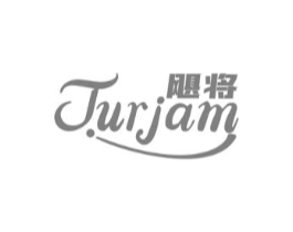 飓将 JUJAM商标原图 第09类科学仪器