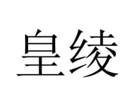 皇绫商标原图 第09类科学仪器