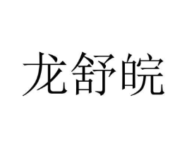 龙舒皖商标原图 第09类科学仪器