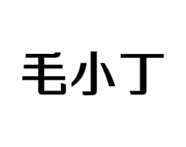 毛小丁商标原图 第09类科学仪器