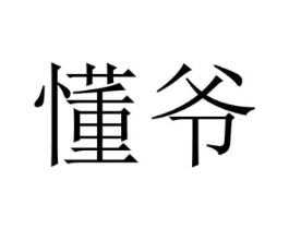 懂爷商标原图 第09类科学仪器