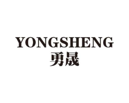 勇晟商标原图 第09类科学仪器