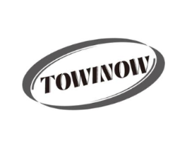 TOWINOW商标原图 第09类科学仪器