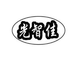 光智佳商标原图 第09类科学仪器