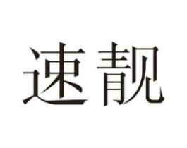 速靓商标原图 第09类科学仪器